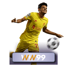 96ACE information